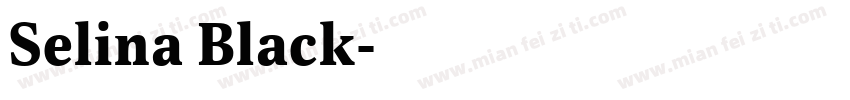 Selina Black字体转换